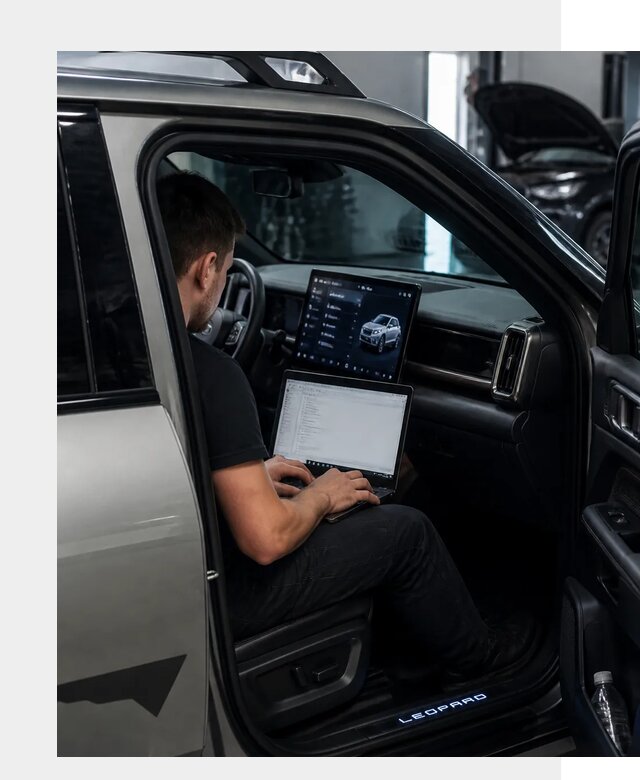 Русификация BYD Leopard 3 в Коркине по цене от 20658 р. | ФастМобиль-Крк